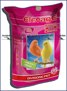 ELEVAGE canarini super C1 C3 C4 nlb NLB NEW LITTE BIRDS