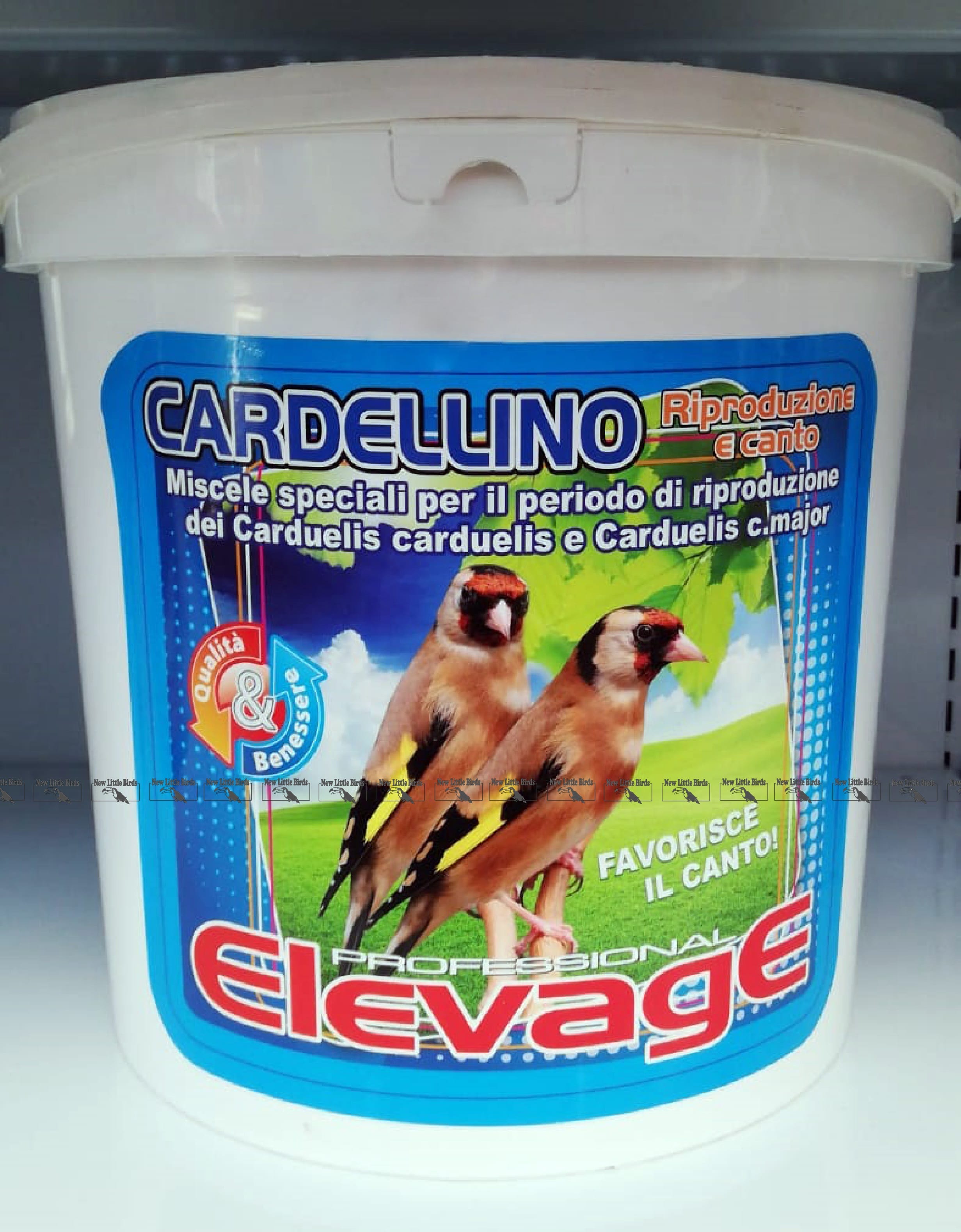 elevage harmony CARDELLINO riproduzione e canto NLB nlb