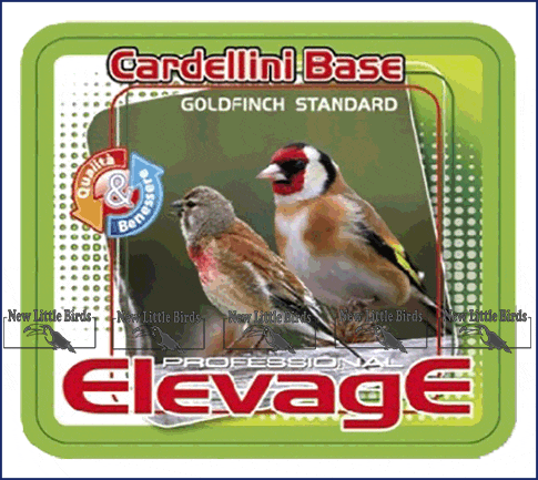 elevage harmony cardellini base NLB nlb