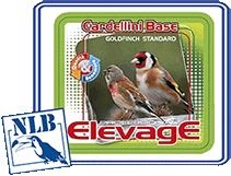 elevage cardellini base nlb NLB