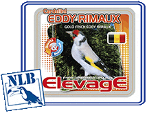 elevage cardellini eddy riamux nlb nlb