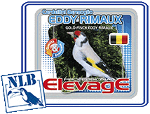 elevage mangime eddy rimaux germoglio nlb NLB