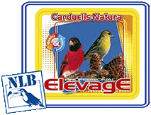 elevage carduelis natura nlb