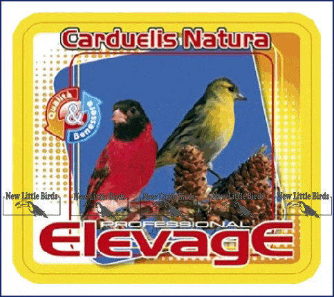 harmony elevage carduelis natura nlb NLB