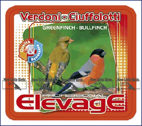 elevage harmony Greenfinch - Bullfinch verdoni ciuffolotti NLB nlb