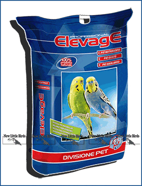 ELEVAGE ondulati professional per allevatori nlb NLB NEW LITTE BIRDS