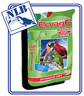 elevage professional harmony pappagalli germoglio cacatoa amazzoni nlb new little birds