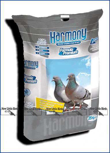 harmony colombi gare super colombi senza mais nlb new little birds