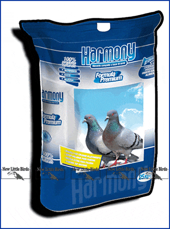 harmony colombi allevamento nlb new little birds