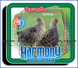 harmony elevage quaglie nlb new little birds